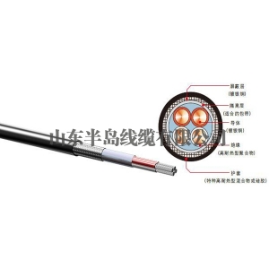 電機(jī)引線(xiàn)的作用是什么？